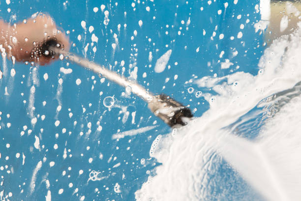 Best Dumpster Area Cleaning  in Swansea, IL
