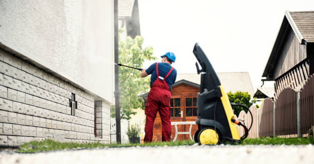 Best Graffiti Removal  in Swansea, IL